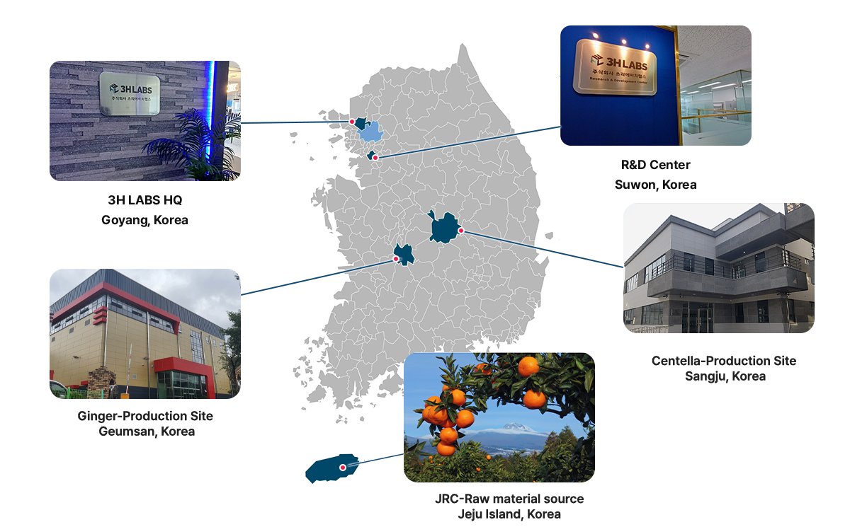 Global presence and Production Site